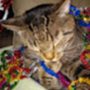 Meet your Posher, April